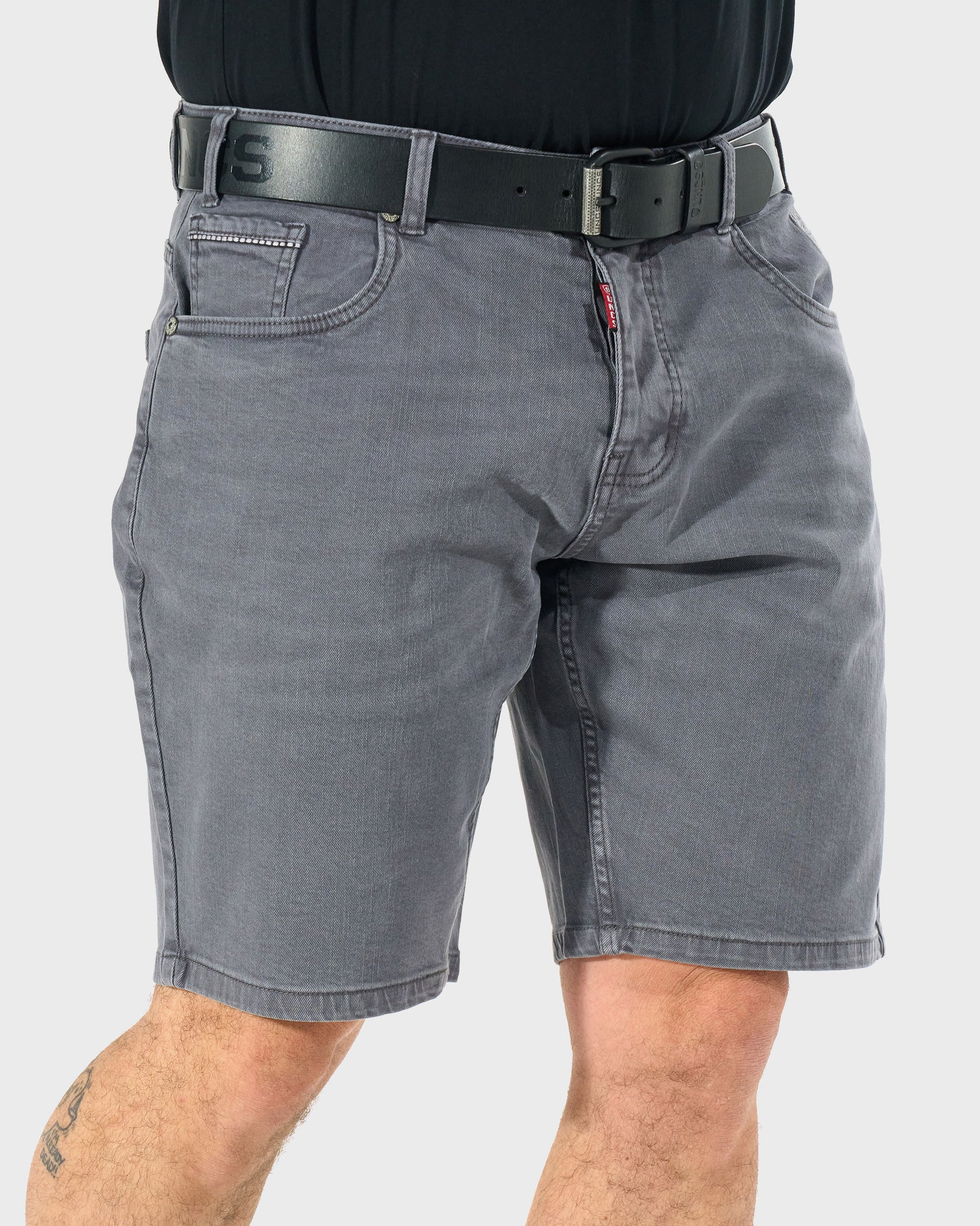 DAYTON Men's Shorts ASPHALT