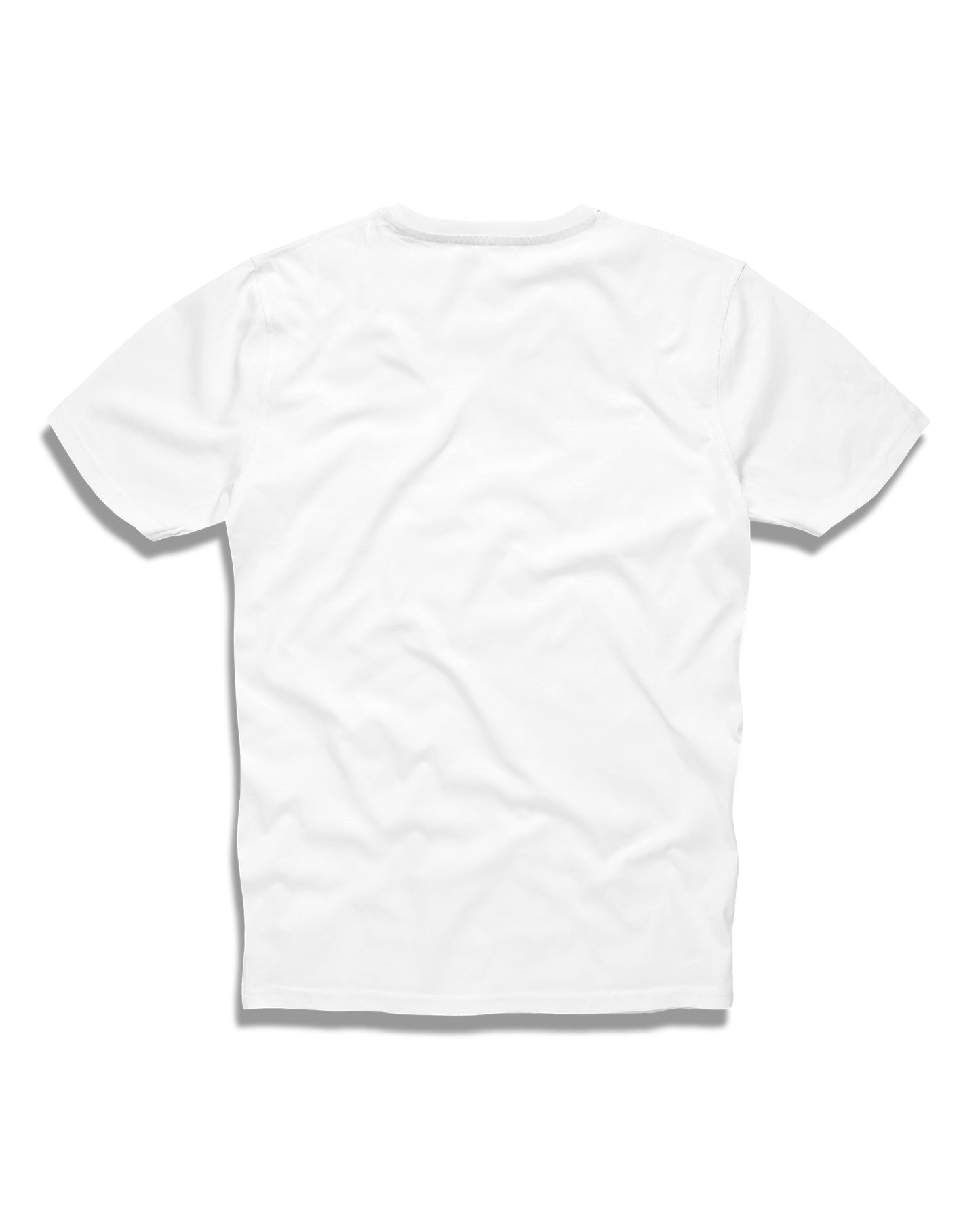 BASIC V Men's T-Shirt WHITE