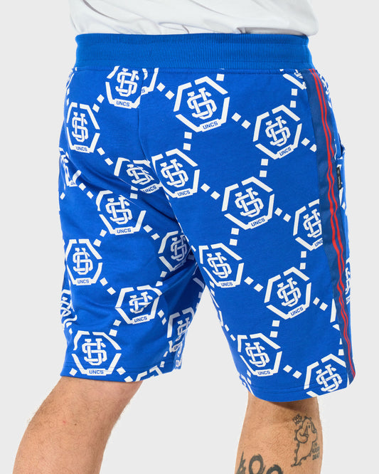 GARNET Men's Shorts BLUE