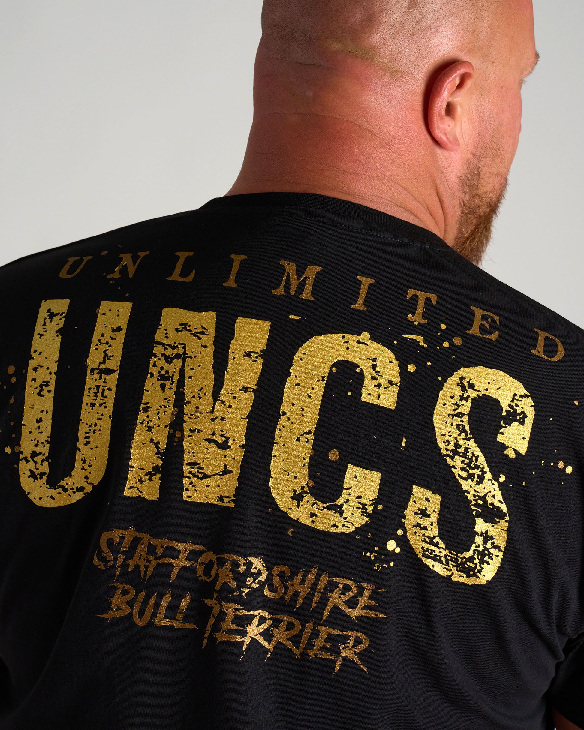 BULL TERRIER III Men's T-Shirt BLACK/GOLD